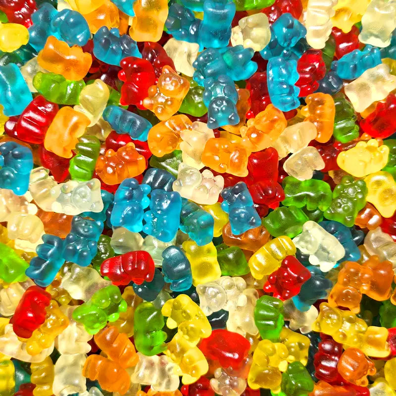 Damel Little Gummy Bear Candies - Candy Co