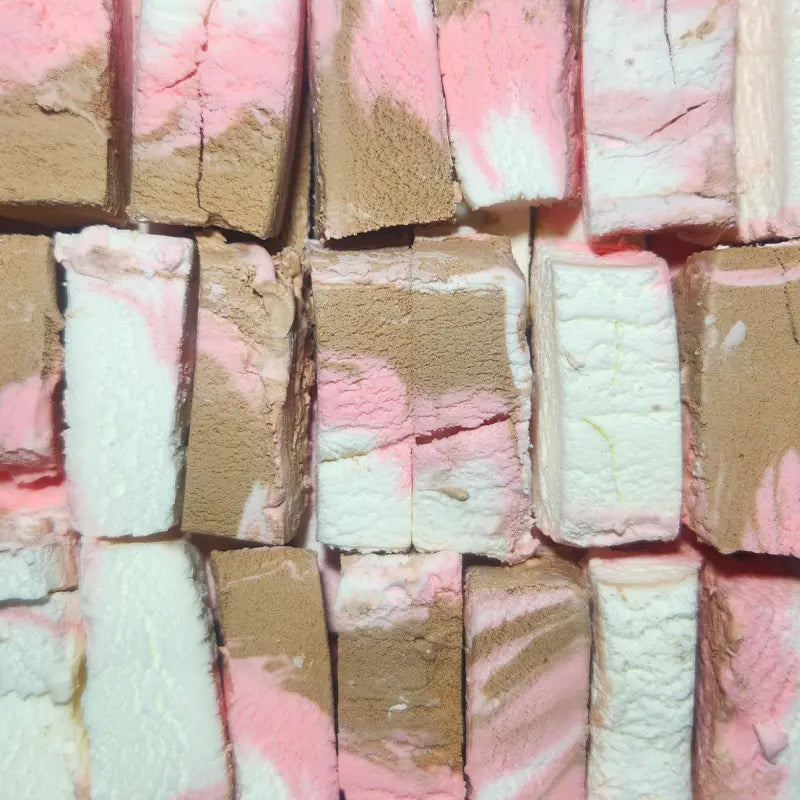 Freeze Dried Neopolitan Ice Cream 40g