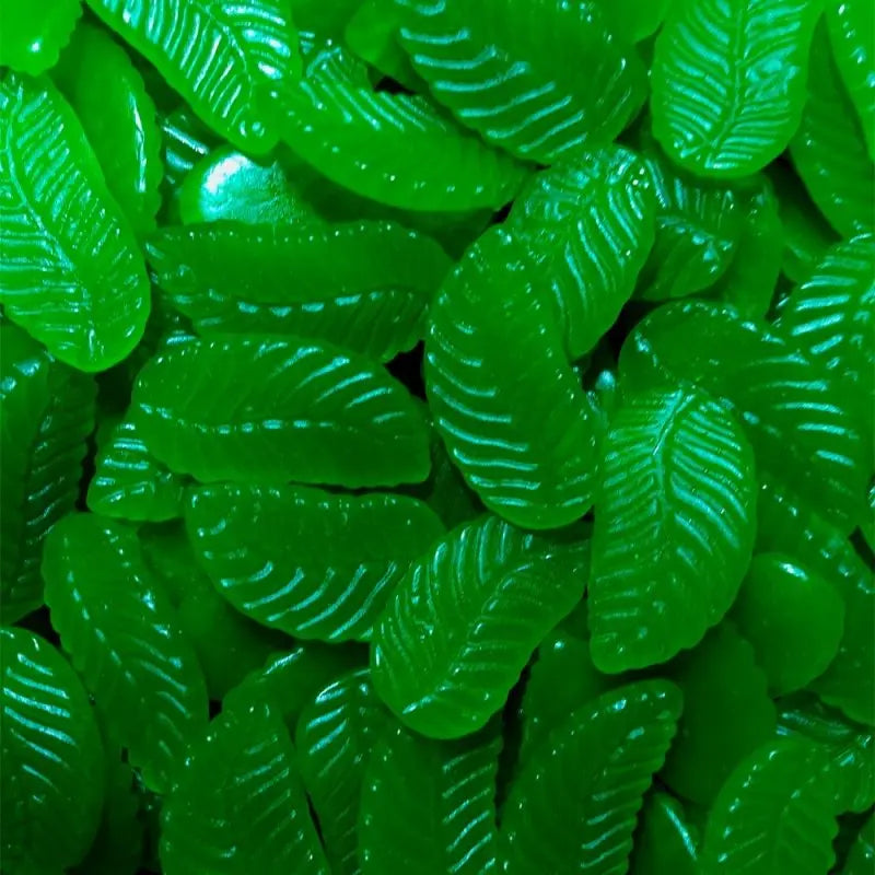 Giant Spearmint Leaves