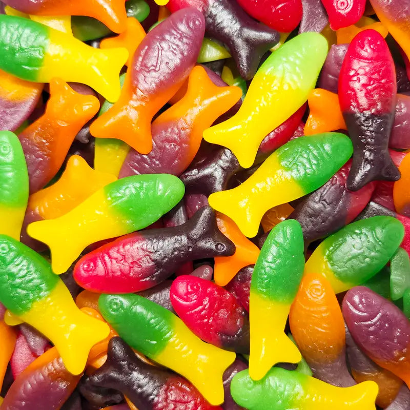 Colourful Rainbow Fish