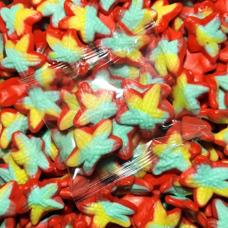 Gummy Starfish Promotional Lollies