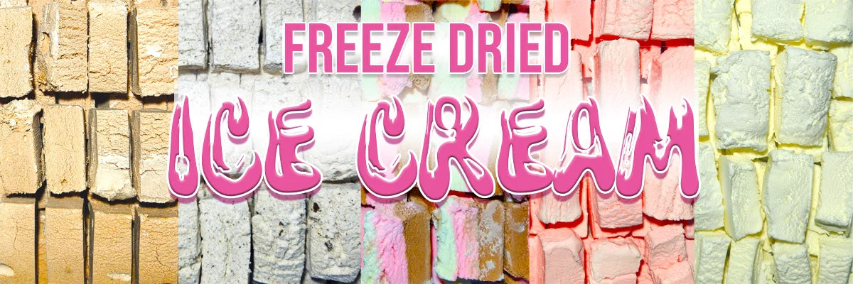 Freeze Dried Ice Cream