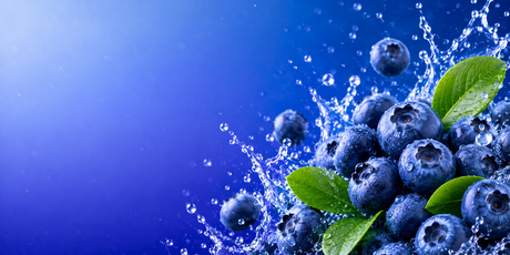 Bright blueberry themed banner featuring fresh blueberries with water splashes on a vibrant blue gradient background