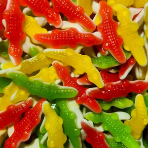 Colourful Alligators Kiwi-D Candy Co