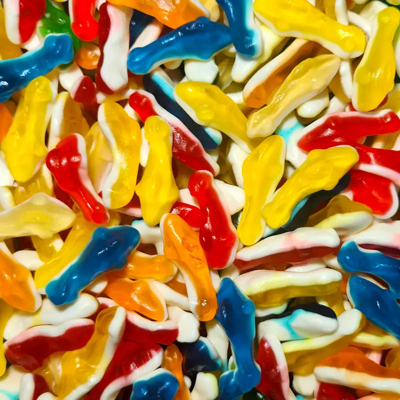 Colourful Sharks Vidal Candy Co