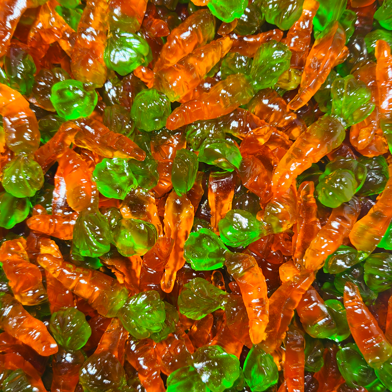 Gummy Carrots Dragon Candy Co