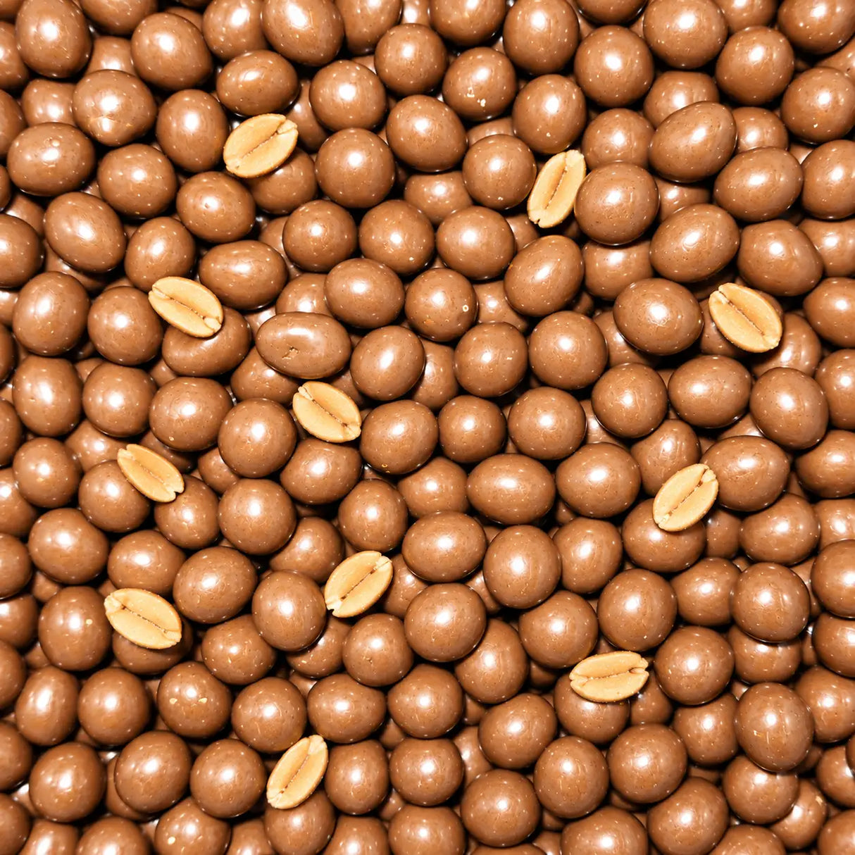 Mayceys Chocolate Coated Peanuts