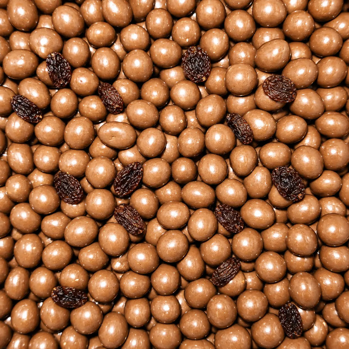 Mayceys Chocolate Coated Raisins