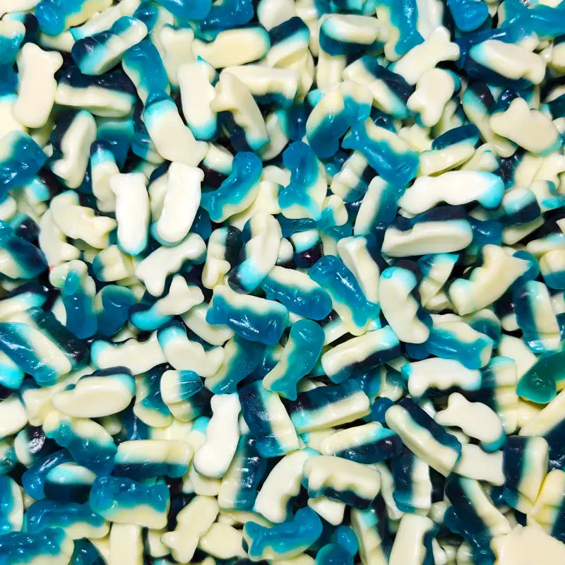 Mini Dolphin Lollies