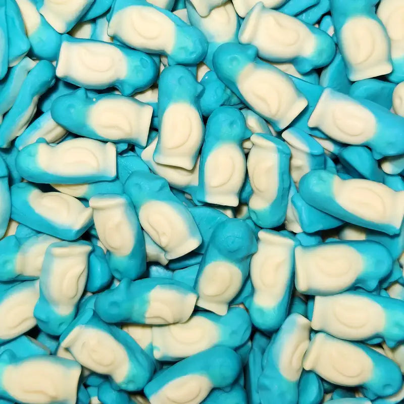 Little Blue Penguins