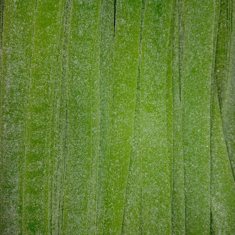 Sour Green Apple Belts