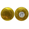 Giant Milk Chocolate $1 Coin 80g - Candy Co - Novelties - Candy Co