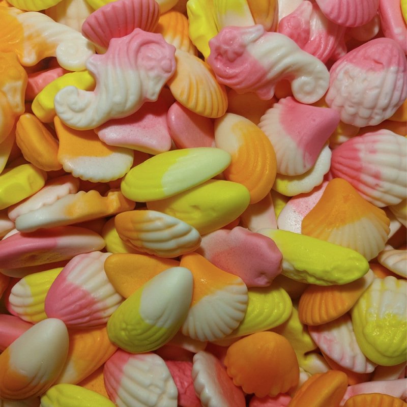 Tropical Sea Shells - Ravazzi - Pick and Mix Lollies - Candy Co